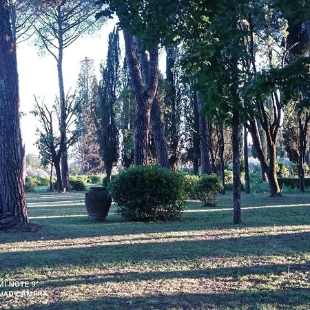 Tommasini La Torre Apartment *