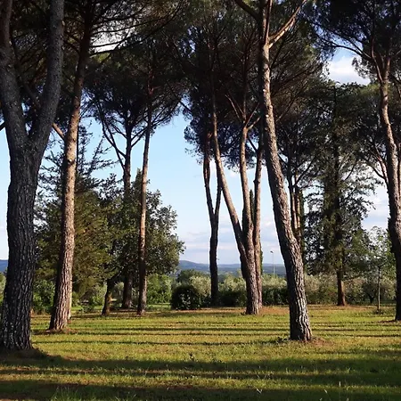 Tommasini La Torre
