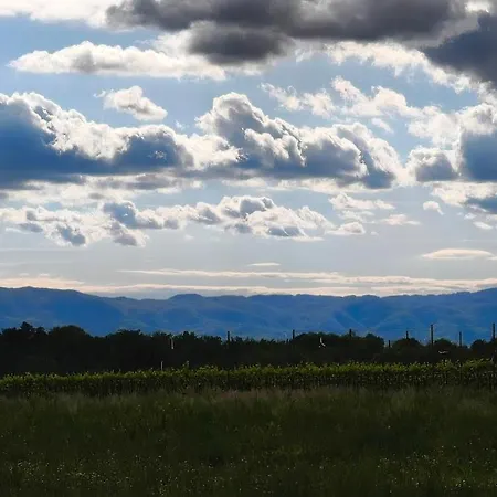 Tommasini La Torre * Campogialli
