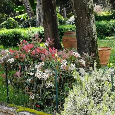 Tommasini La Torre * Campogialli