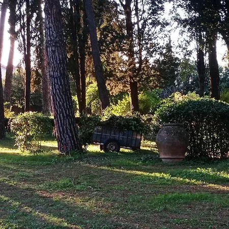 Tommasini La Torre Campogialli