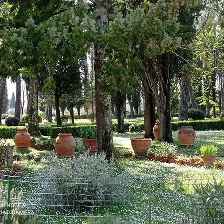 Appartamento Tommasini La Torre *