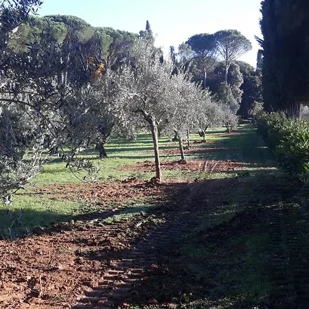 Tommasini La Torre Appartamento